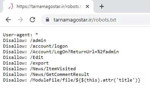 فایل Robots.txt چیست و چه کاربردی در سئو سایت دارد؟