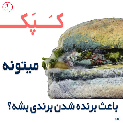 بررسی یک کمپین تبلیغاتی موفق  کمپین برند برگر کینگ با کپک!