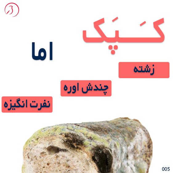 بررسی یک کمپین تبلیغاتی موفق  کمپین برند برگر کینگ با کپک!