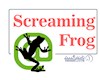 Screaming Frog  ابزار چیست؟
