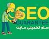 سئو سایت تضمینی یک فریب است