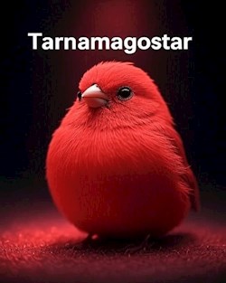 Why Choose Tarnamagostar for Your Business Growth