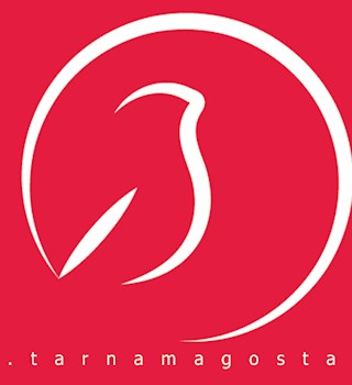 دیانا نیازخانی