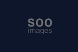 طراحی سایت و آژانس عکس مستند سو ایمیج | تارنماگستر