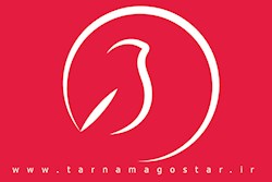 طراحی سایت پایگاه خبری تحلیلی بامداد زاگرس